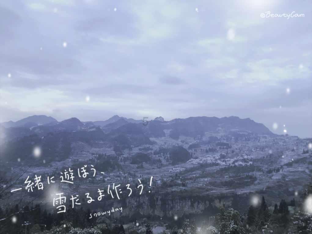 探探猫历险记2